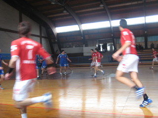 hrk_pavone hrk_pavone