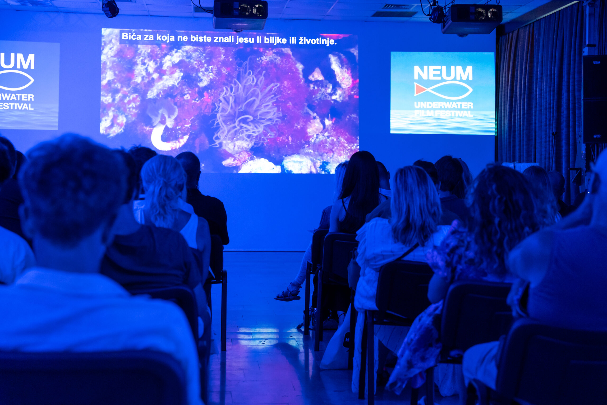 ‘MARINE TURTLES’ OSVOJIO GRAND PRIX NEUM UNDERWATER FILM FESTIVALA 2026.