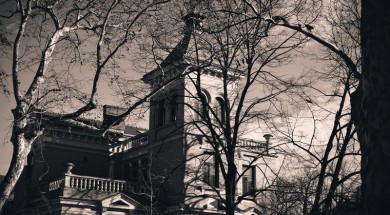 2_ana_artukovic_-_rektorat_u_krosnjama