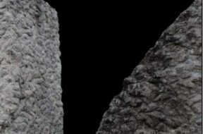 FB_IMG_1565642860208