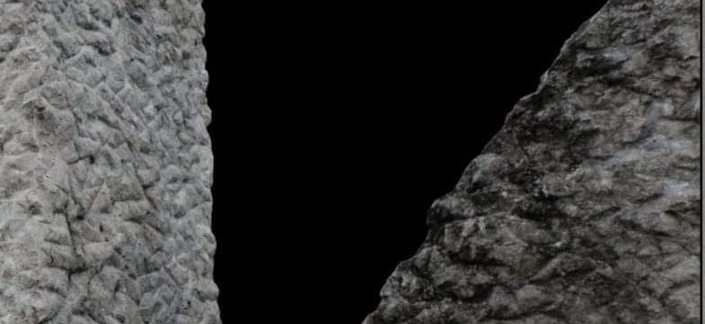 FB_IMG_1565642860208