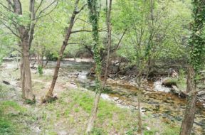 IMG-20200422-WA0047