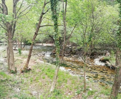 IMG-20200422-WA0047