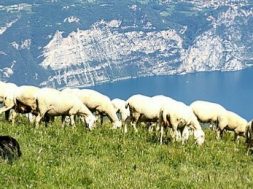 IMG_20170602_135001