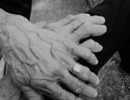 Ivan_Cuk_Prica_ispricana_borama_700_900