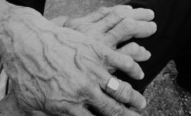 Ivan_Cuk_Prica_ispricana_borama_700_900