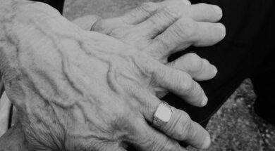 Ivan_Cuk_Prica_ispricana_borama_700_900