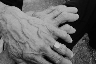 Ivan_Cuk_Prica_ispricana_borama_700_900