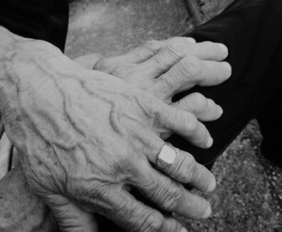 Ivan_Cuk_Prica_ispricana_borama_700_900