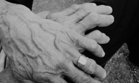 Ivan_Cuk_Prica_ispricana_borama_700_900