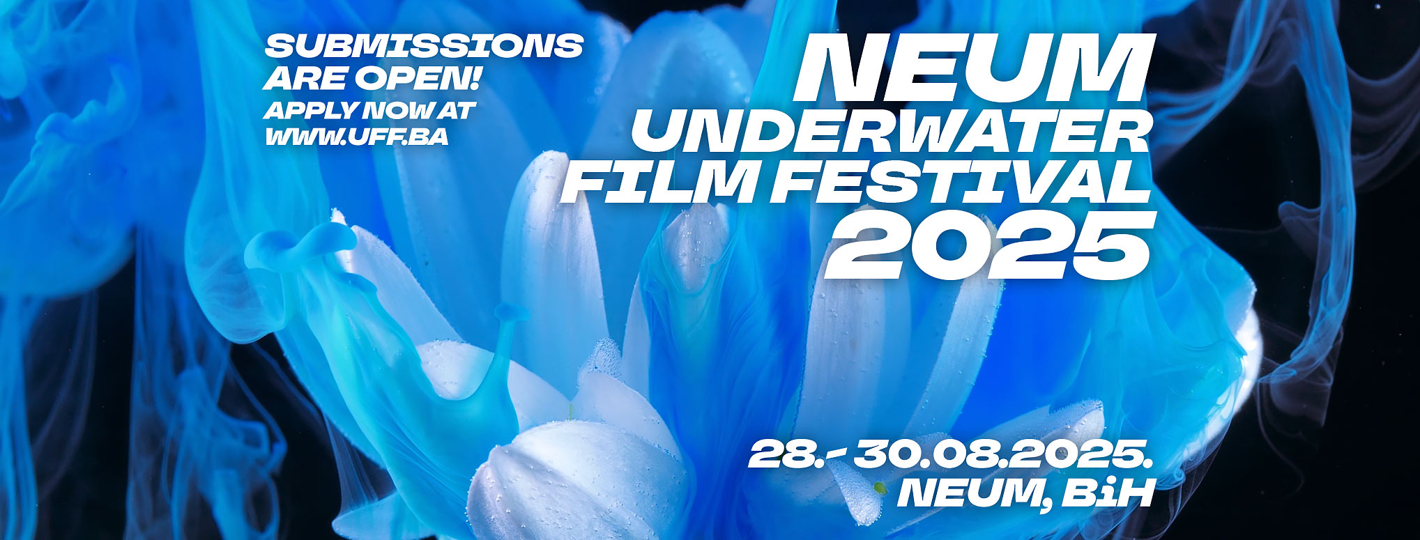NEUM UNDERWATER FILM FESTIVAL 2025 – POZIV NA PRIJAVE!