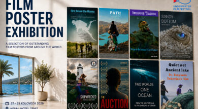 Neum_2026_film_poster_exhibition_jpg_DA