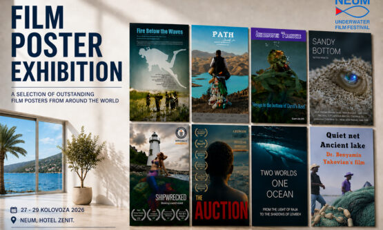 Neum_2026_film_poster_exhibition_jpg_DA