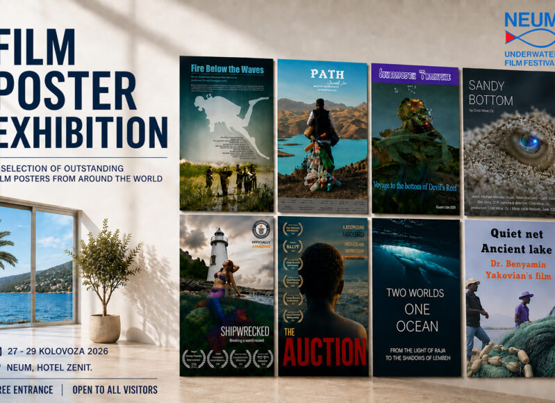 Neum_2026_film_poster_exhibition_jpg_DA