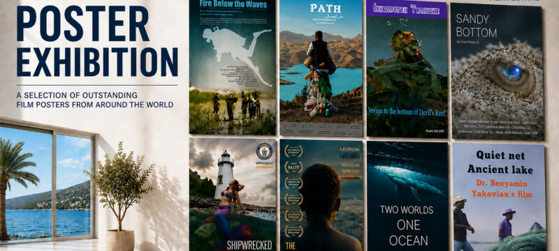 Neum_2026_film_poster_exhibition_jpg_DA
