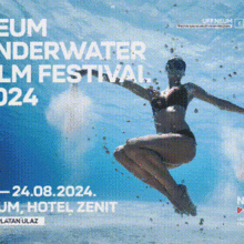 Neumxx_2024_400-300-1