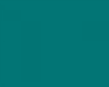 feature_56cc33ec838d2