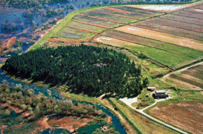 hutovo-blato-karaotok