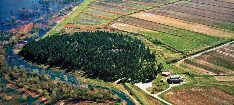 hutovo-blato-karaotok