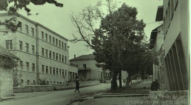 listica_boksit_siroki_com